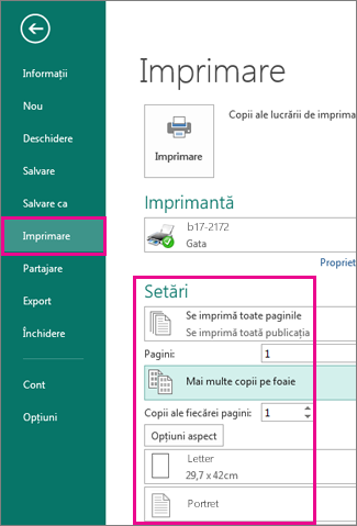 Click File, Print, to view settings for printing in Publisher 2013