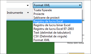 Selectați ce registru de lucru Excel deschideți pentru date