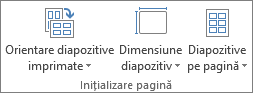 Grupul Inițializare pagină