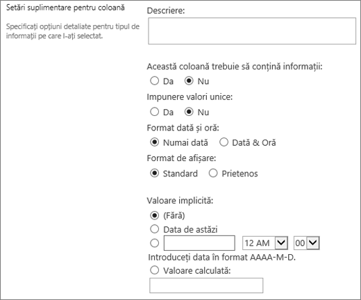 Opțiuni pentru coloana de dată și oră