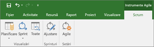 Captură de ecran a panglicii Proiect afișând fila Instrumente Agile