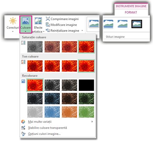 Meniul butonului Culoare deschis din fila Format Instrumente imagine