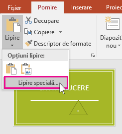 show paste special option