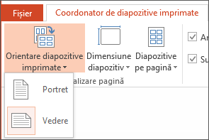 Meniul Orientare diapozitive imprimate