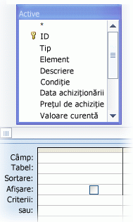 Un tabel în proiectantul de interogări