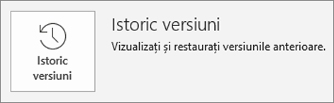 Butonul pentru Istoricul versiunilor din interiorul paginii informații