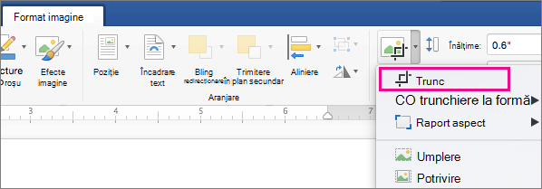 Pe fila Format imagine, Trunchierea este evidențiată.