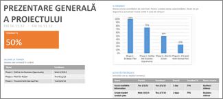 Raportul Prezentare generală a proiectului