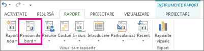 Buton Tablouri de bord pe fila Raport