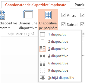 Opțiunile pentru Diapozitive pe pagină