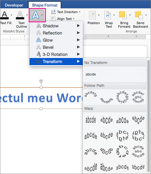 Fila Formatare formă cu opțiunea Efecte text evidențiată.