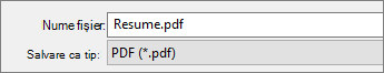 Alegeți PDF din caseta Salvare cu tipul.