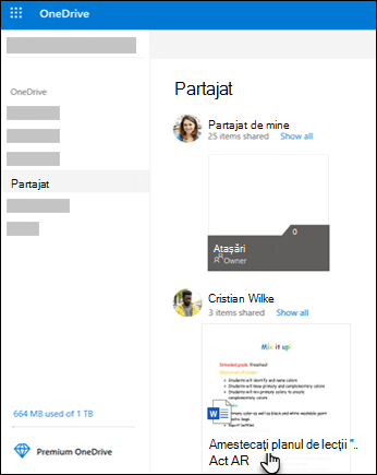 Foldere partajate OneDrive