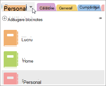 Treceți de la un blocnotes la altul utilizând meniul din stânga.