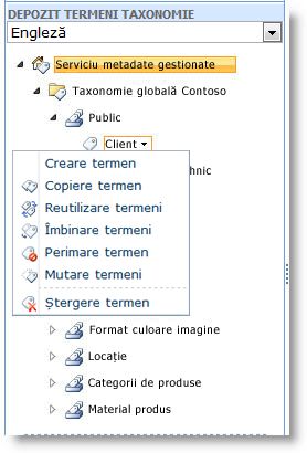 Utilizați meniul pentru a gestiona termenii dintr-un set de termeni.