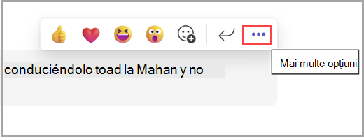 Treceți cu mouse-ul peste un mesaj pentru a afișa mai multe opțiuni.