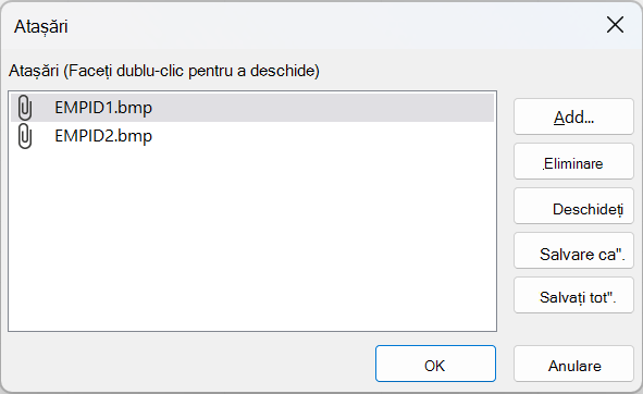 Caseta de dialog Atașări din Access afișând două fișiere BMP.