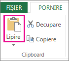 Comanda Lipire în grupul Clipboard