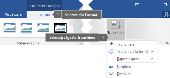 Butonul Trunchiere din fila Instrumente imagine, Formatare