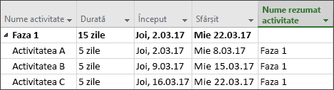 Coloana Nume rezumat activitate