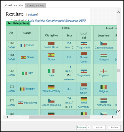 Power Query > Din web > Navigator > Vizualizare web