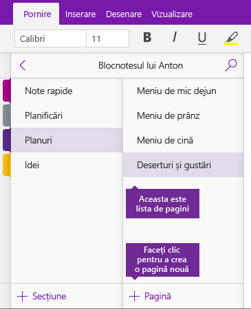 Captură de ecran cu butonul Adăugare pagină din OneNote