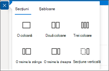 Captură de ecran a panoului aspect secțiune