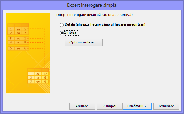 Selectați Detaliu sau Rezumat în caseta de dialog Expert interogare simplă
