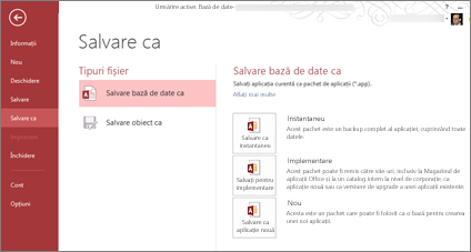 Opțiuni Salvare ca bază de date pe ecranul Salvare ca