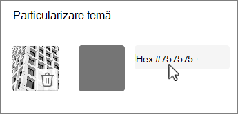 Editare culoare ca captură de ecran cu valoarea hexa