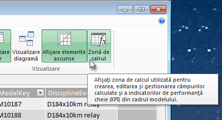 Zona de calcul în PowerPivot