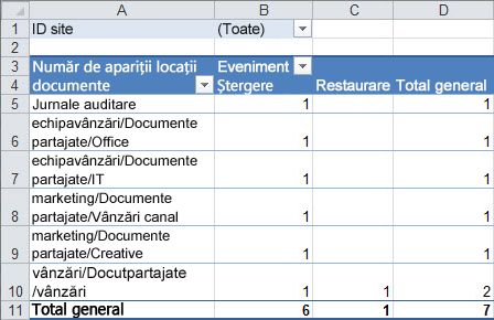 Rezumatul datelor de audit dintr-un tabel Pivot