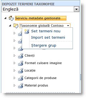 Utilizați meniul pentru a crea un nou set de termeni.