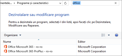 Afișează două copii de Office instalate în Panoul de control