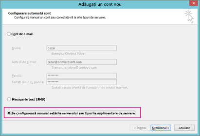 Alegeți configurați manual setările serverului sau tipurile suplimentare de servicii.