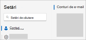 Captură de ecran a setărilor afișând Conturi > Conturi de e-mail