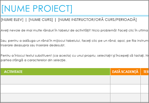 Șablonul Listă de activități Project vechi, cu un font minim de 8,5 puncte.