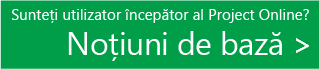 Sunteți începător în Project Online? Iată noțiunile de bază.