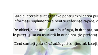 Exemplu de imagine în spatele unui bloc de text