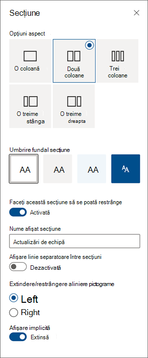 captură de ecran a panoului de formatare a secțiunii