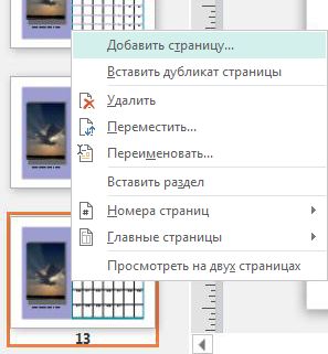 Чтобы вставить страницу, щелкните правой кнопкой мыши на странице в области "Перемещение по страницам".