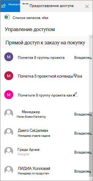 Раздел "Прямой доступ" области "Управление доступом" в OneDrive для бизнеса