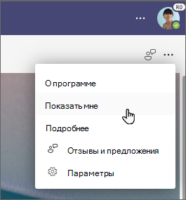 Нажмите "Показать обзор", чтобы запустить обзор.