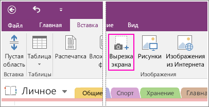 Снимок экрана с кнопкой вставки вырезки экрана в OneNote 2016