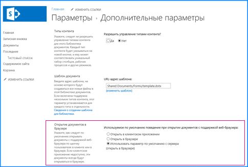 Снимок страницы дополнительных параметров в библиотеке документов SharePoint