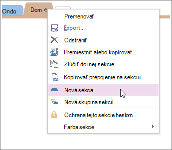 Do programu OneNote pridajte novú sekciu.