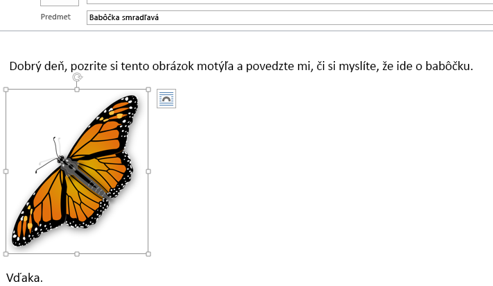 Obrázok sa teraz nachádza v správe.