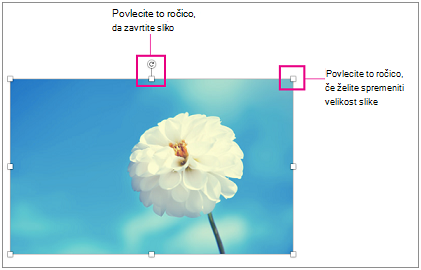 Slika z označenimi ročicami za spreminjanje velikosti