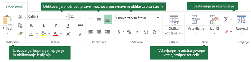 Zavihek »Osnovno« gumbi za rezanje, kopiranje, lepljenje in lepljenje oblikovanja; možnosti oblikovanja, kot so pisava, poravnava in oblike zapisa števil; vstavljanje vrstic/stolpcev; vsota in razvrščanje