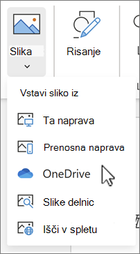 Slika za vstavljanje iz storitve OneDrive